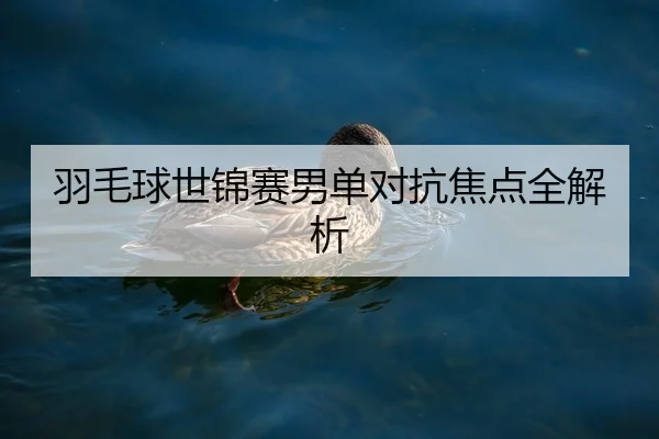 羽毛球世锦赛男单对抗焦点全解析
